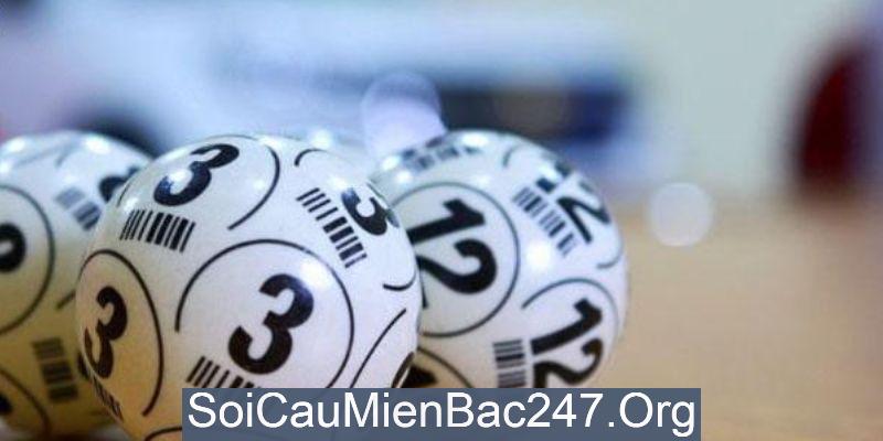 Nuôi song thủ khung 3 ngày phù hợp với tất cả mọi người